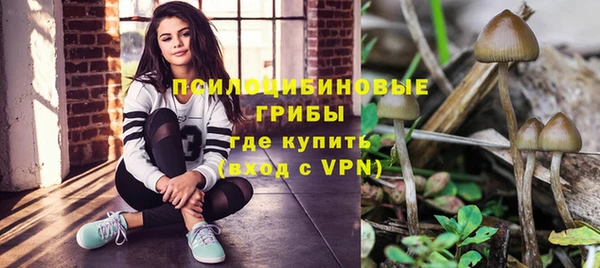 соль ск Иннополис