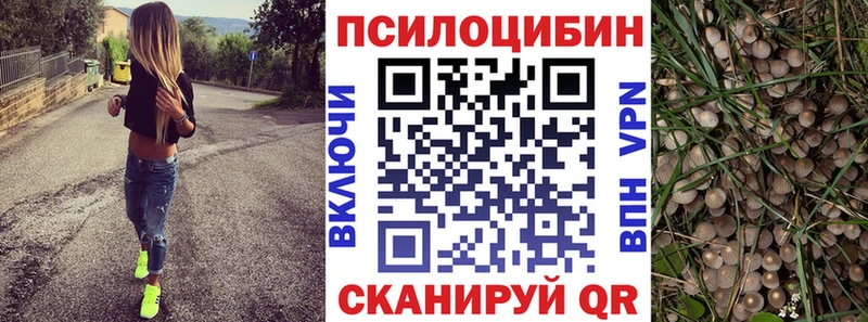 Галлюциногенные грибы Cubensis  Купить закладки  Старая Купавна 